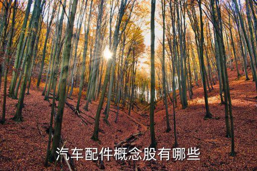 汽車(chē)配件概念股有哪些