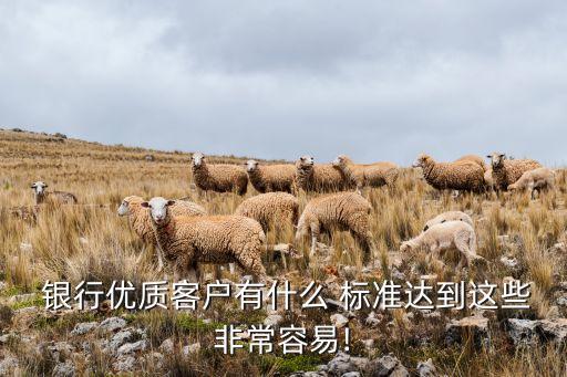  銀行優(yōu)質(zhì)客戶有什么 標(biāo)準(zhǔn)達到這些非常容易!