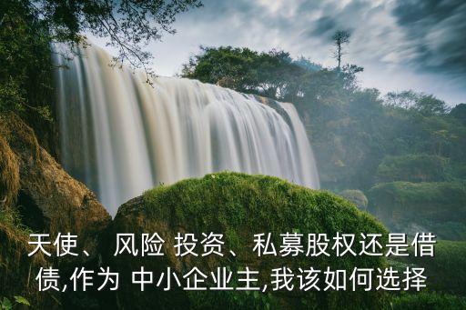 天使、 風險 投資、私募股權還是借債,作為 中小企業(yè)主,我該如何選擇