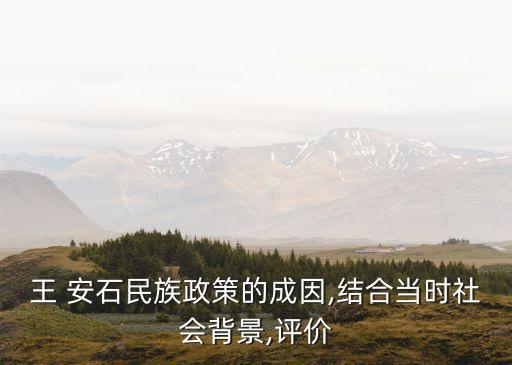 王 安石民族政策的成因,結(jié)合當(dāng)時(shí)社會背景,評價(jià)