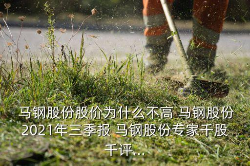  馬鋼股份股價(jià)為什么不高 馬鋼股份2021年三季報(bào) 馬鋼股份專(zhuān)家千股千評(píng)...