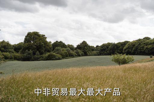 中非貿易最大最大產品