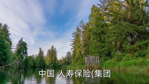 中國 人壽保險(集團(tuán)