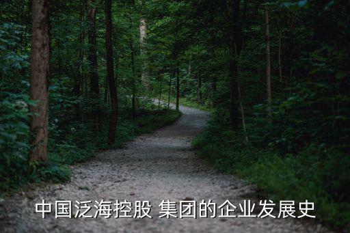 中國泛?？毓?集團的企業(yè)發(fā)展史