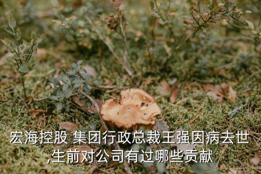 宏?？毓?集團(tuán)行政總裁王強(qiáng)因病去世,生前對(duì)公司有過(guò)哪些貢獻(xiàn)