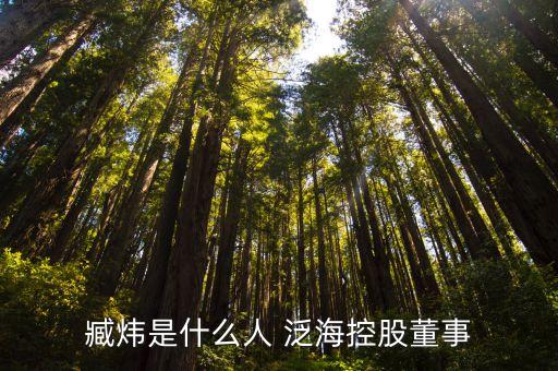 臧煒是什么人 泛?？毓啥? class=