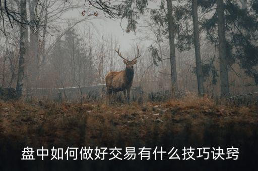 盤(pán)中怎樣快速買到股票,怎樣盤(pán)中發(fā)現(xiàn)異動(dòng)的股票