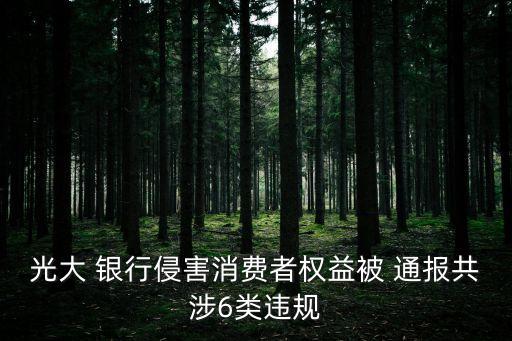 光大 銀行侵害消費者權益被 通報共涉6類違規(guī)