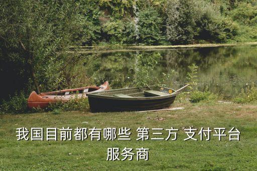 第三方支付牌照公司名單,央行第三方支付牌照名單查詢(xún)
