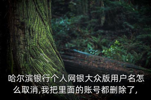  哈爾濱銀行個(gè)人網(wǎng)銀大眾版用戶(hù)名怎么取消,我把里面的賬號(hào)都刪除了,