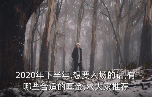 2020年下半年,想要入場(chǎng)的話(huà),有哪些合適的基金,求大家推薦