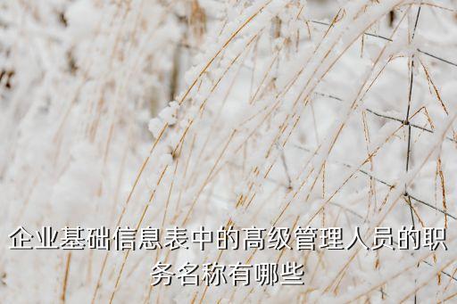 重鋼集團總經理助理,北大荒集團總經理助理都有誰