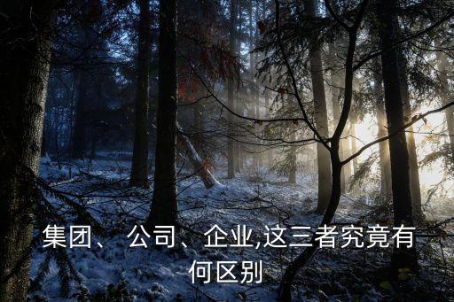  集團、 公司、企業(yè),這三者究竟有何區(qū)別