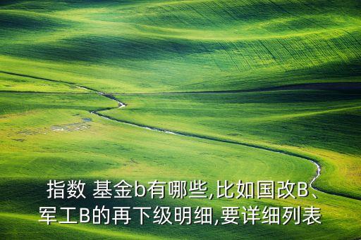  指數(shù) 基金b有哪些,比如國(guó)改B、軍工B的再下級(jí)明細(xì),要詳細(xì)列表