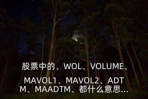  股票中的、WOL、VOLUME、MAVOL1、MAVOL2、ADTM、MAADTM、都什么意思...