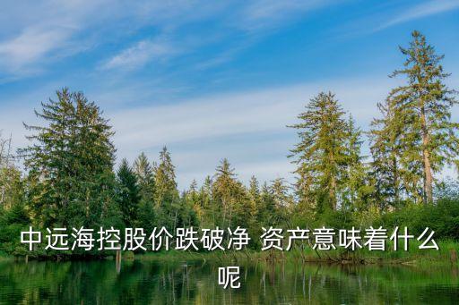 中遠(yuǎn)海控股價(jià)跌破凈 資產(chǎn)意味著什么呢