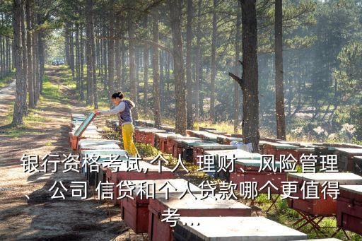 銀行資格考試,個人 理財、風(fēng)險管理、 公司 信貸和個人貸款哪個更值得考...