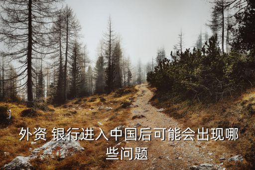  外資 銀行進(jìn)入中國(guó)后可能會(huì)出現(xiàn)哪些問題