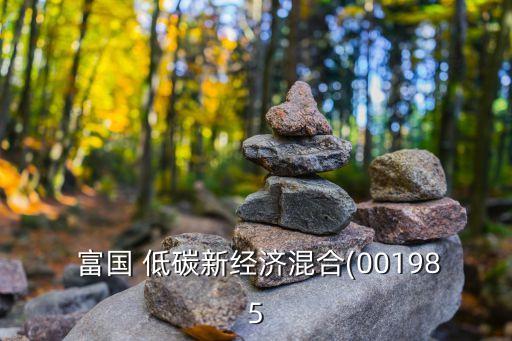 富國(guó)低碳環(huán)?；鸢?富國(guó)碳中和基金