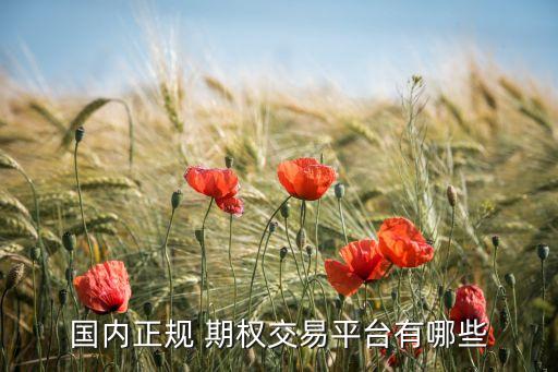 國內(nèi)正規(guī) 期權交易平臺有哪些