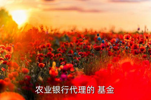 農業(yè)銀行代理的 基金