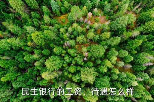  民生銀行的工資、待遇怎么樣