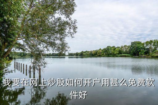 我要在網(wǎng)上炒股如何開(kāi)戶(hù)用甚么免費(fèi)軟件好