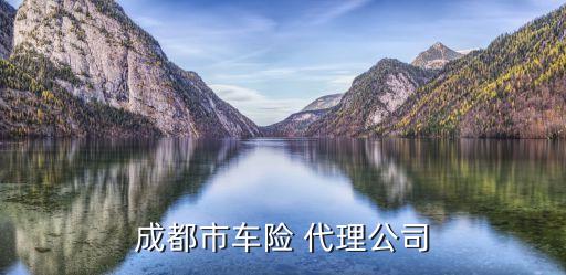 成都市車(chē)險(xiǎn) 代理公司