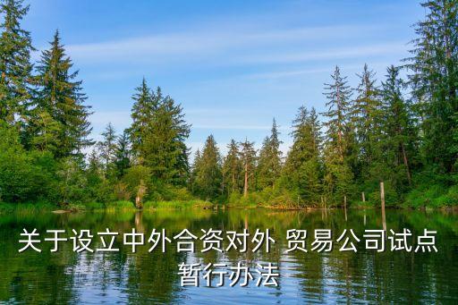關(guān)于設(shè)立中外合資對外 貿(mào)易公司試點(diǎn)暫行辦法