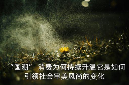 “國潮” 消費為何持續(xù)升溫它是如何引領(lǐng)社會審美風(fēng)尚的變化