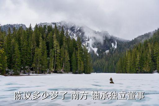 陳議多少歲了 南方 軸承獨立董事