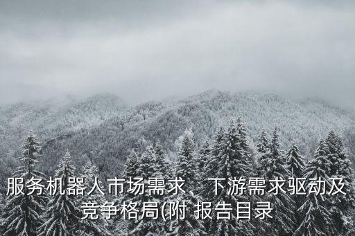 服務(wù)機(jī)器人市場需求、下游需求驅(qū)動及競爭格局(附 報告目錄