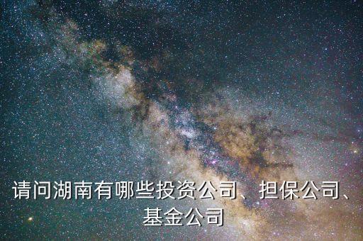 請(qǐng)問湖南有哪些投資公司、擔(dān)保公司、 基金公司