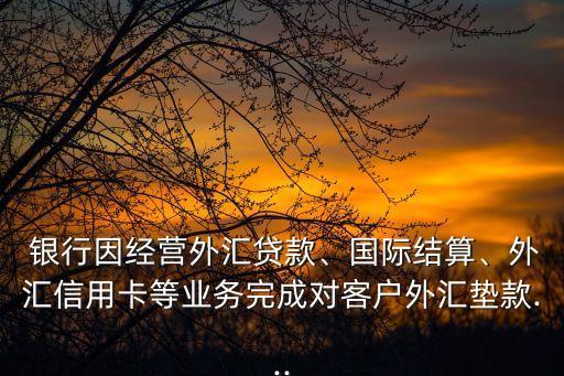  銀行因經(jīng)營外匯貸款、國際結(jié)算、外匯信用卡等業(yè)務(wù)完成對(duì)客戶外匯墊款...