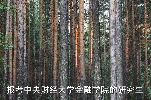 報考中央財經(jīng)大學金融學院的研究生