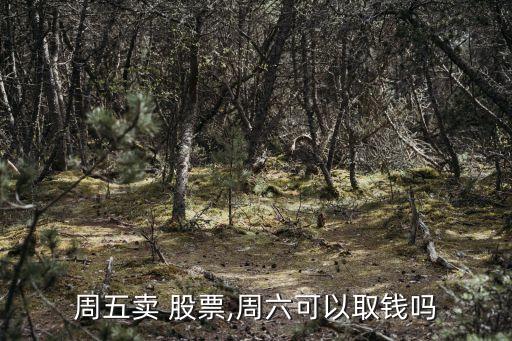 周五賣(mài) 股票,周六可以取錢(qián)嗎