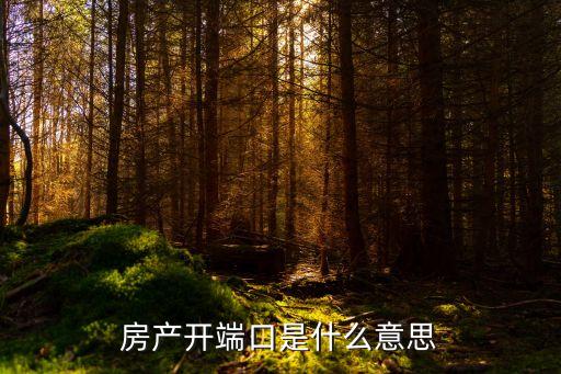 搜房網開中介公司