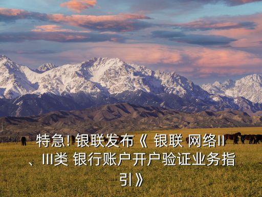 特急! 銀聯(lián)發(fā)布《 銀聯(lián) 網(wǎng)絡II、III類 銀行賬戶開戶驗證業(yè)務指引》