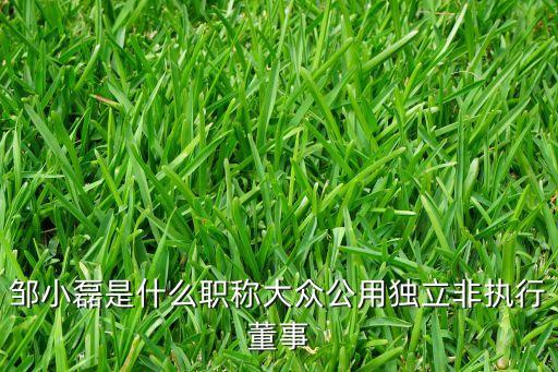 鄒小磊是什么職稱(chēng)大眾公用獨(dú)立非執(zhí)行董事