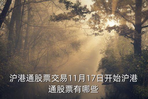 滬港通股票交易11月17日開(kāi)始滬港通股票有哪些
