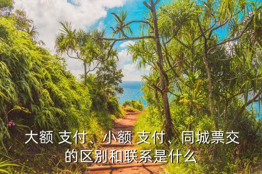  大額 支付、小額 支付、同城票交的區(qū)別和聯(lián)系是什么