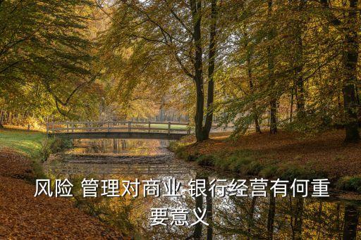  風(fēng)險(xiǎn) 管理對(duì)商業(yè) 銀行經(jīng)營有何重要意義