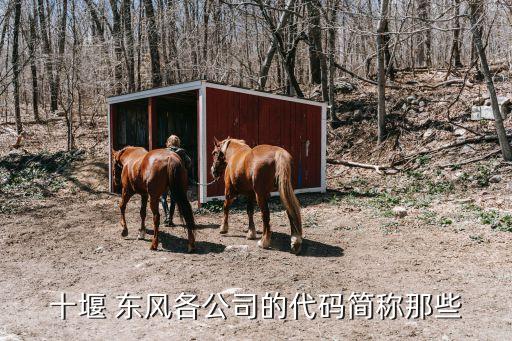十堰 東風(fēng)各公司的代碼簡(jiǎn)稱(chēng)那些