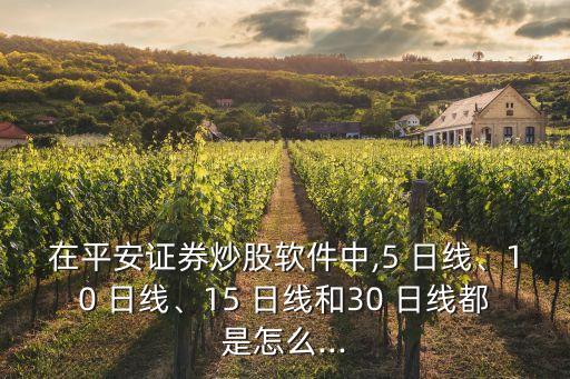 在平安證券炒股軟件中,5 日線、10 日線、15 日線和30 日線都是怎么...