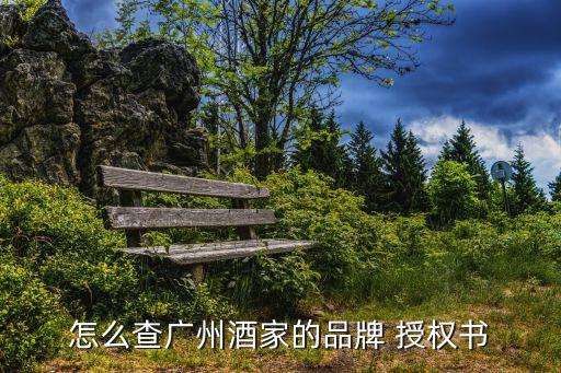上海證券交易所授權號查詢