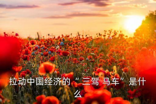 三駕馬車(chē)投資