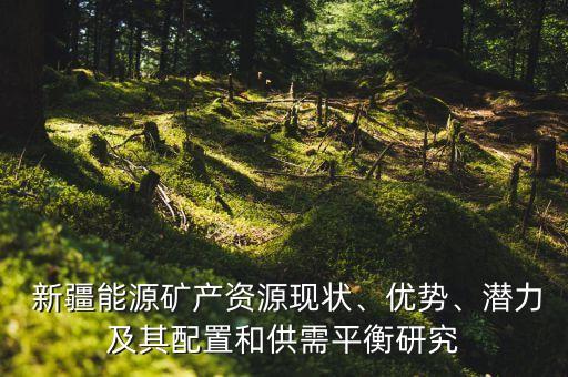  新疆能源礦產(chǎn)資源現(xiàn)狀、優(yōu)勢、潛力及其配置和供需平衡研究