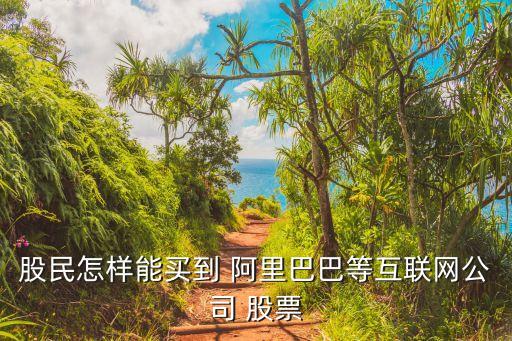 股民怎樣能買到 阿里巴巴等互聯(lián)網公司 股票