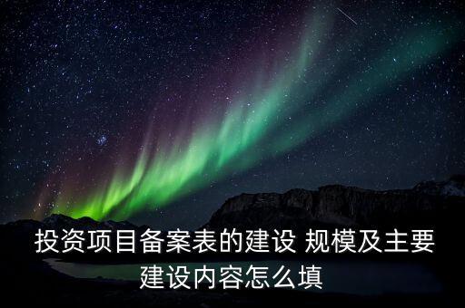  投資項目備案表的建設 規(guī)模及主要建設內(nèi)容怎么填