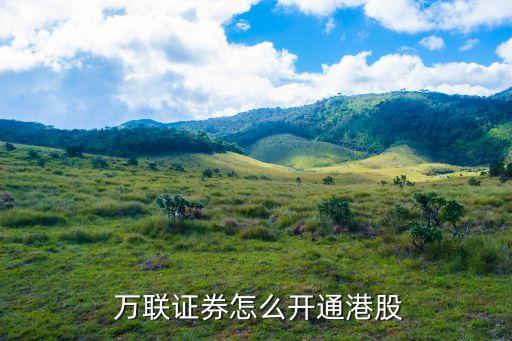  萬(wàn)聯(lián)證券怎么開(kāi)通港股
